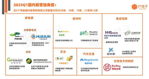 2023第一季度國內貿易代理獨角獸崛起 資本力量與行業新秀
